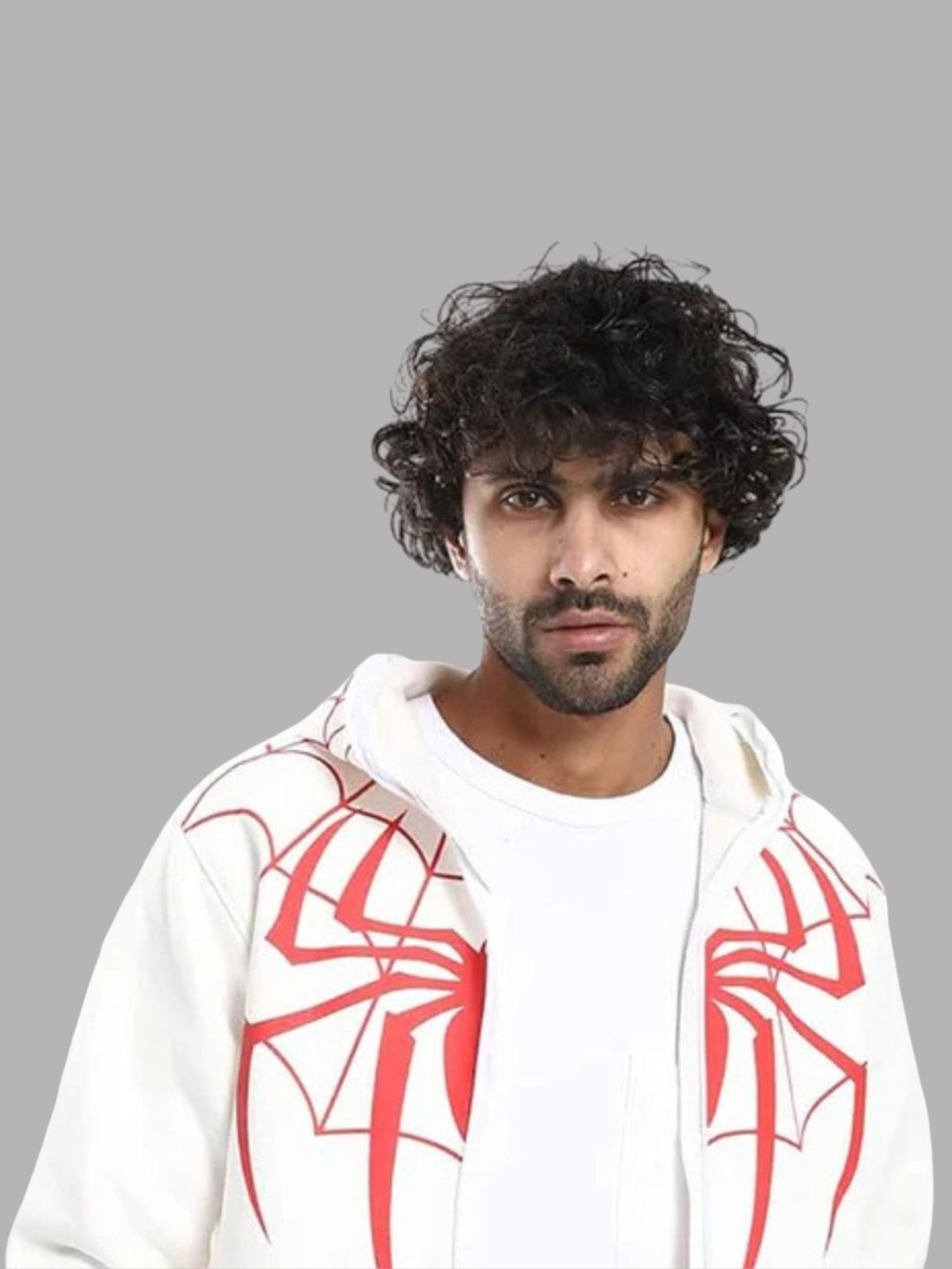 Reed Spider Hoodie – Kawaii Oversized Zip-Up Spiderman